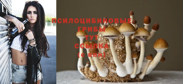 гидропоника Весьегонск