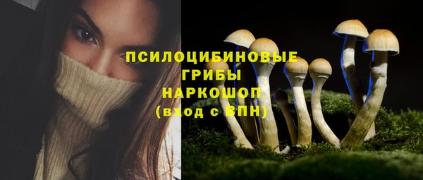 гидропоника Весьегонск