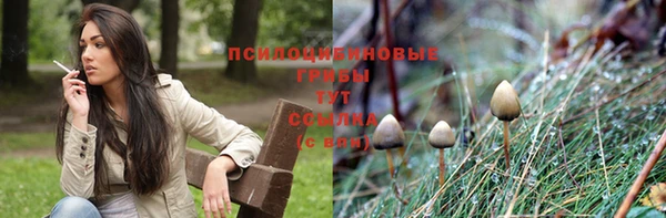 гидропоника Весьегонск