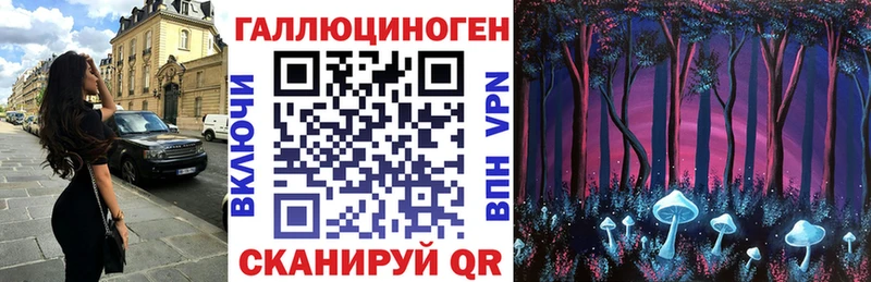 цены   Заозёрск  Псилоцибиновые грибы Psilocybine cubensis 